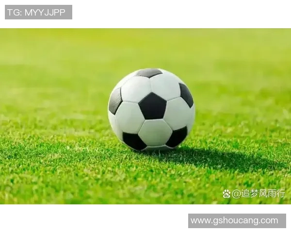 追梦绿茵场足球球星的荣耀背后是无数汗水与辛酸 追梦绿茵场足球球星的荣耀背后是无数汗水与辛酸