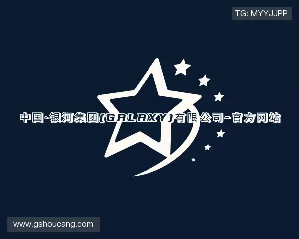 了解银河集团