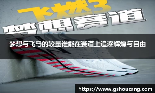 梦想与飞马的较量谁能在赛道上追逐辉煌与自由